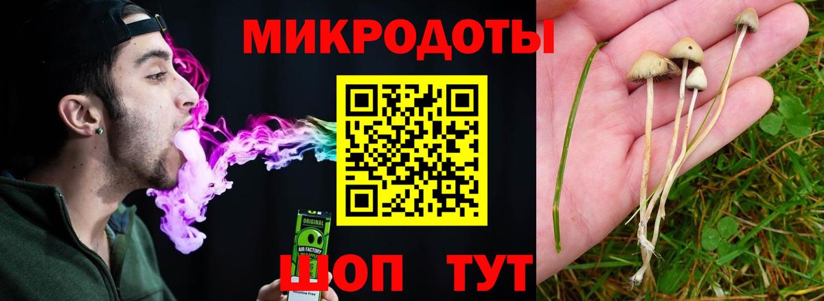 Псилоцибиновые грибы Psilocybine cubensis  Вход с VPN  Партизанск 